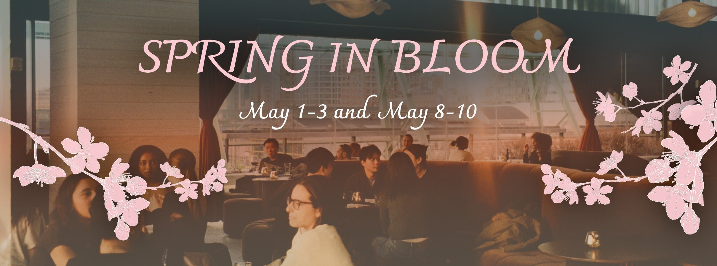 Spring in Bloom at Miru: A Sakura Matsuri Prix Fixe